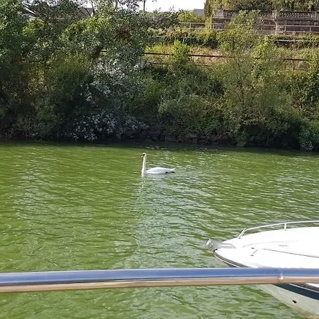 بوتيل Cafe Sander's Auf Der Mosel