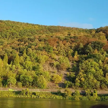 Cafe Sander's Auf Der Mosel وينينغين