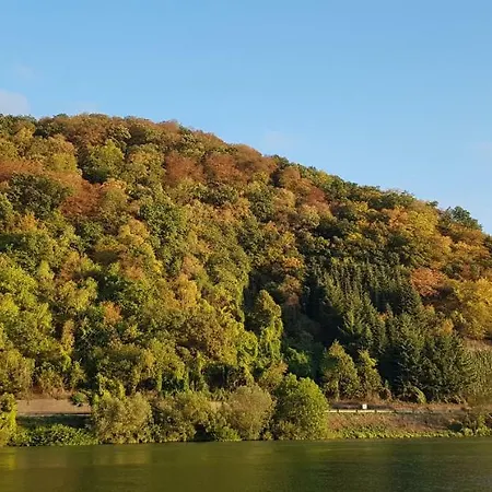 بوتيل Cafe Sander's Auf Der Mosel