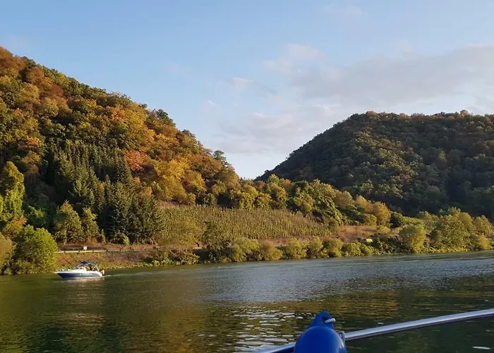 Cafe Sander's Auf Der Mosel Bådhotel Winningen