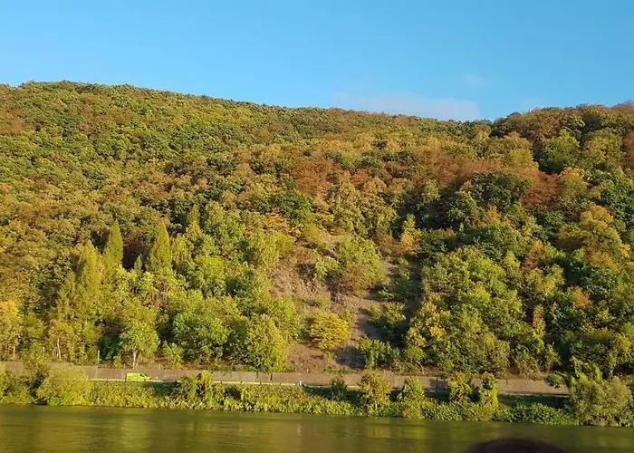 Cafe Sander's Auf Der Mosel Winningen