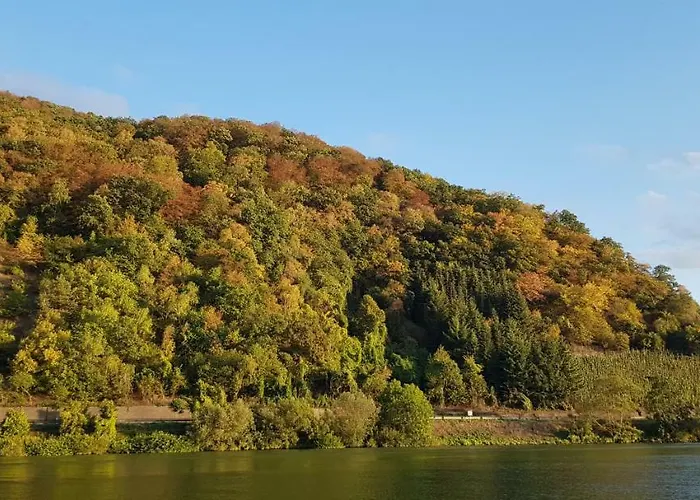 Bådhotel Cafe Sander's Auf Der Mosel